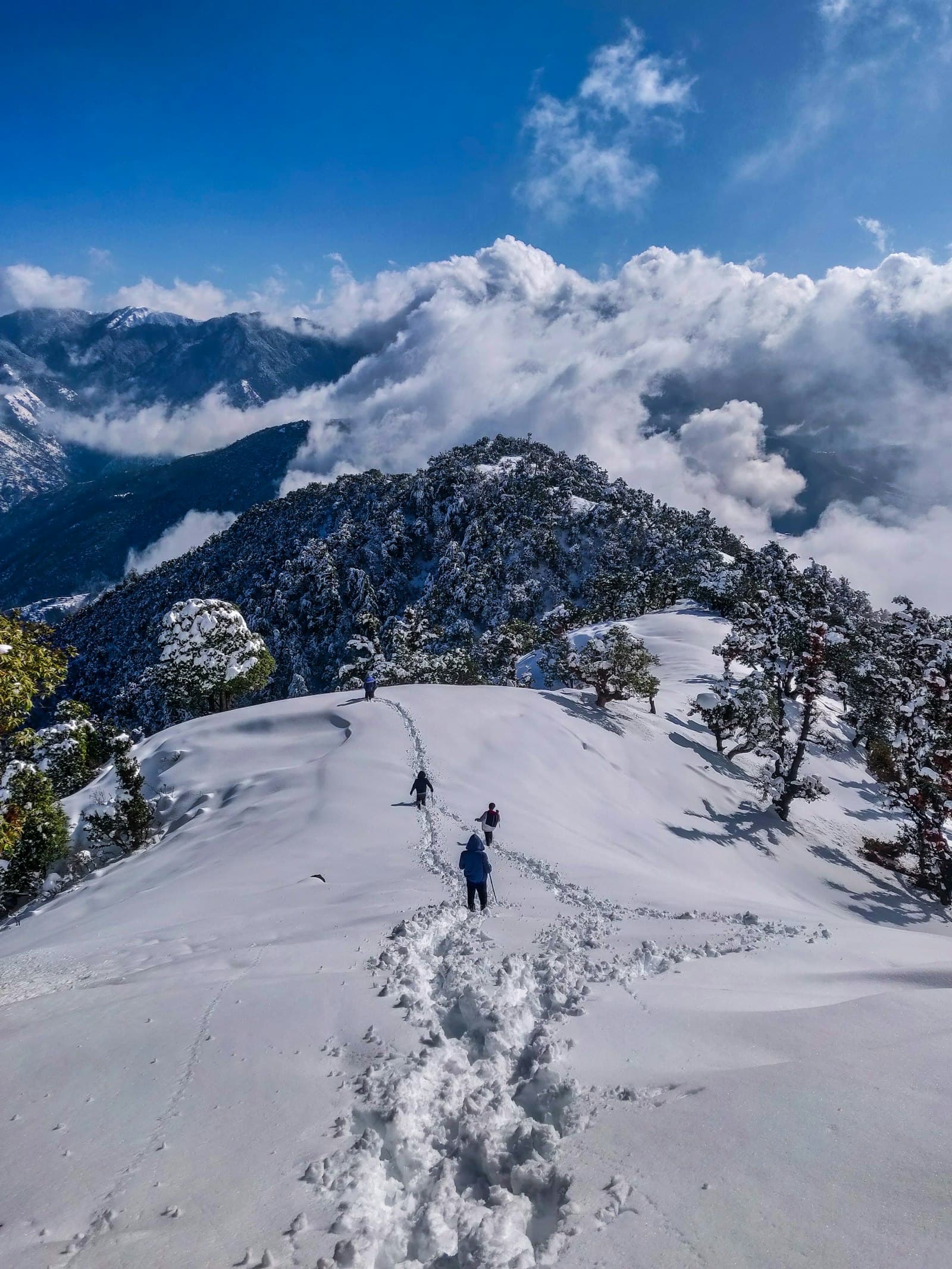 Himachal Snow Weekend