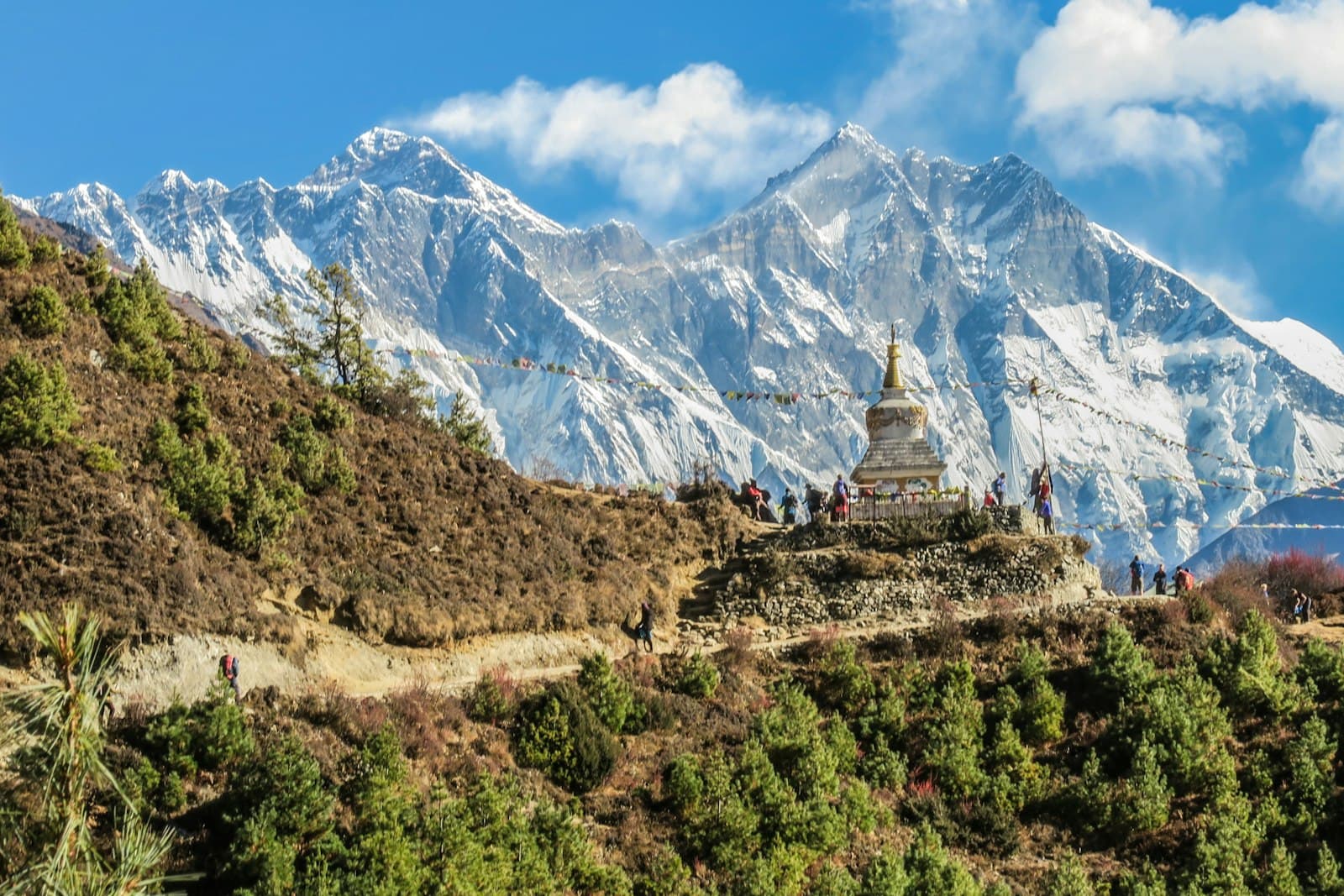 Rishikesh Adventure & Wellness